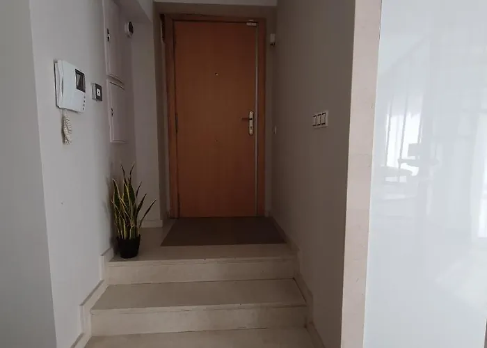 Appartement Md Balmes Market Mid Term
