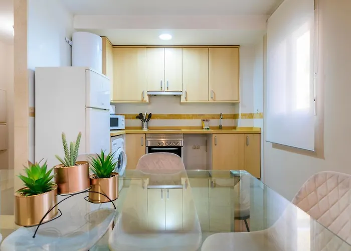 Appartement Md Balmes Market Mid Term
